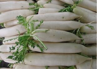 原生态萝卜